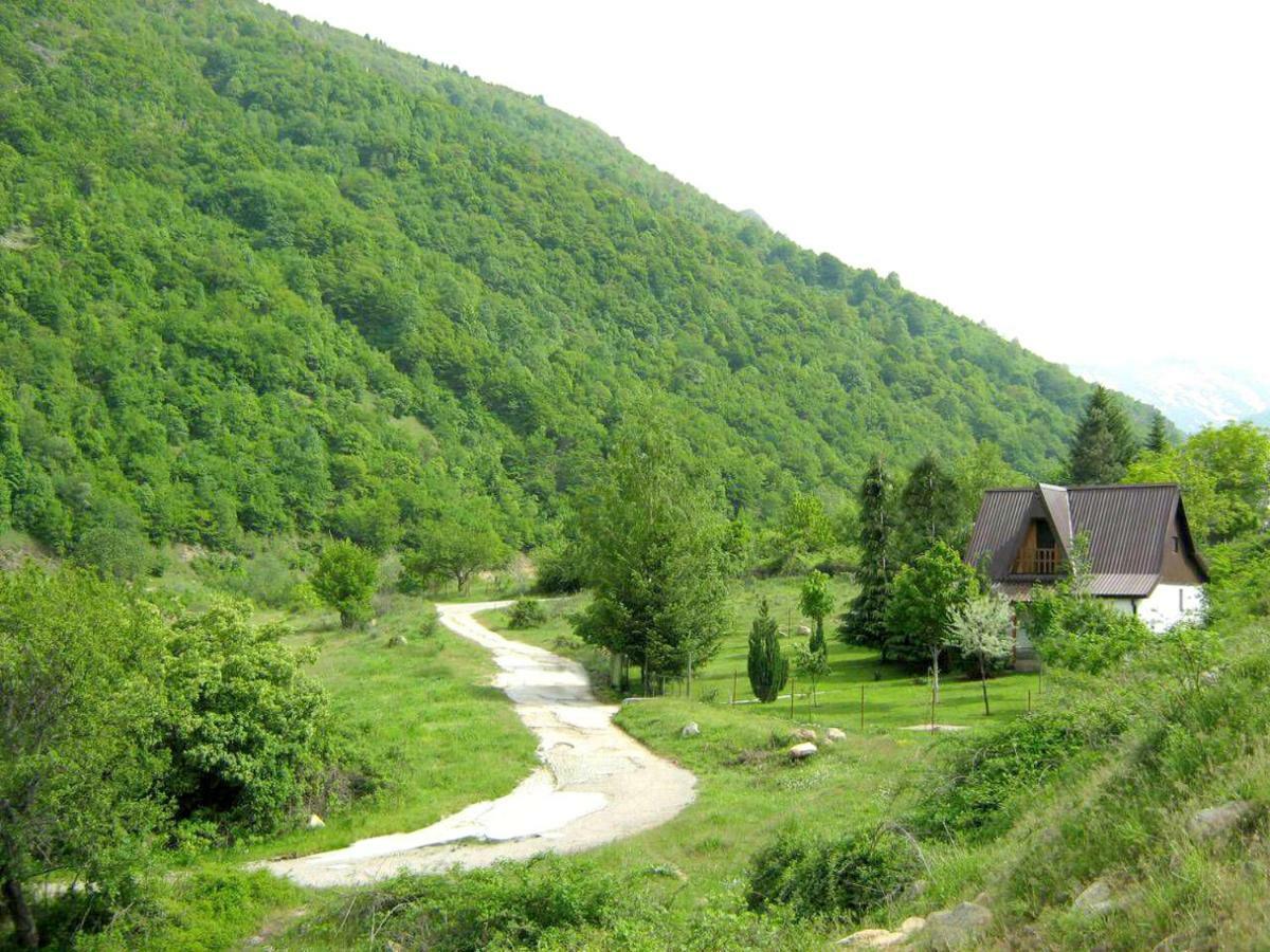 Villa Orka Pelister - Forest Zone Bitola Extérieur photo