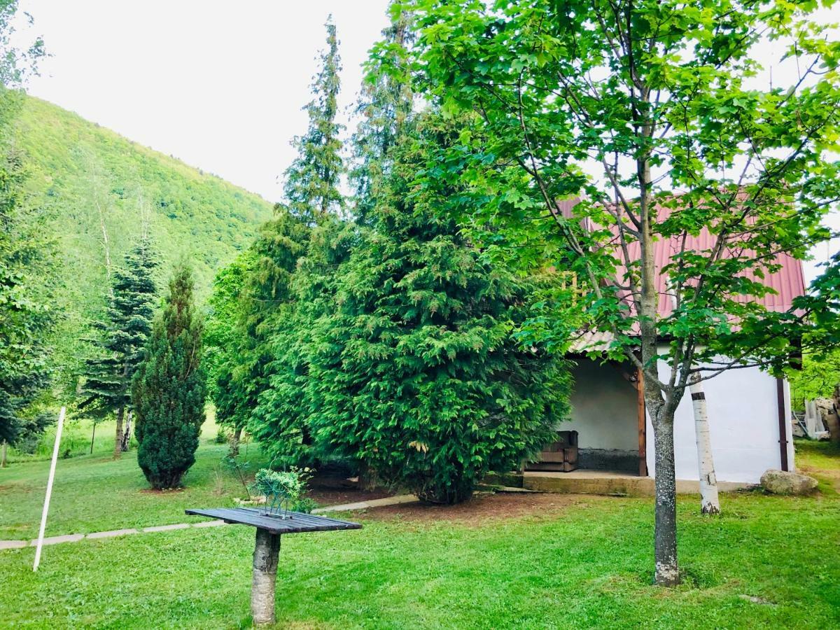 Villa Orka Pelister - Forest Zone Bitola Extérieur photo
